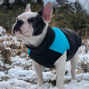 Chaleco impermeable para perros grandes y Bulldog Francés, chaqueta cálida de invierno para mascotas medianas y grandes, abrigo de Shiba Inu Pug, ropa para mascotas