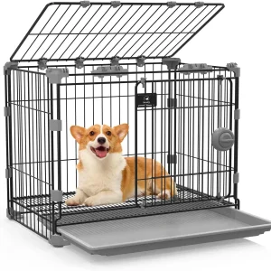 Jaula de Metal para s medianos, Perrera de alambre para interiores con puerta corredera y bandeja extraíble, parte superior abierta para mascotas, 30 pulgadas