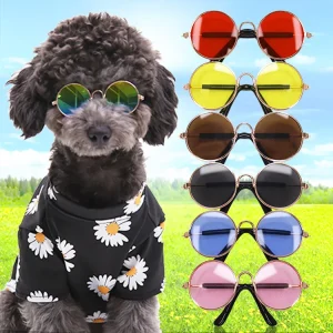 Gafas de sol redondas Retro para mascotas, accesorios para fotos, productos para mascotas