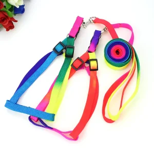 Adjustable Colorful Rainbow Pet Harness Small And Medium Dog Cat Harnesses Nylon Chain 1.2M Dog Leash Set Dog Accessories