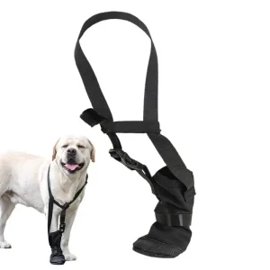 Soporte de hombro para , Collar cónico para recuperación alternativa de mascotas para presión y hombro