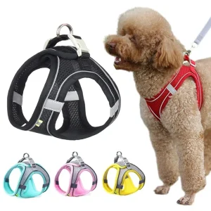 Conjunto de chaleco y correa de malla para s pequeños, arnés ajustable para cachorros y gatos, correa de pecho para caminar al aire libre, suministros para mascotas, Verano