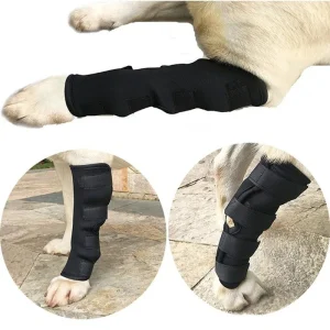 Rodilleras de pierna para s, vendaje de recuperación, antilamer, heridas, artritis de , Protector auxiliar de articulación fija, accesorios para s